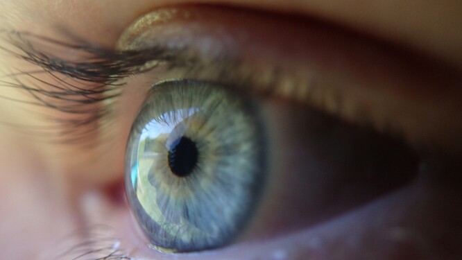 „Pokud byste chtěla mít dceru, která bude mít modré oči, je tady nějaký důvod, proč ne?“ ptá se genetik George Church.