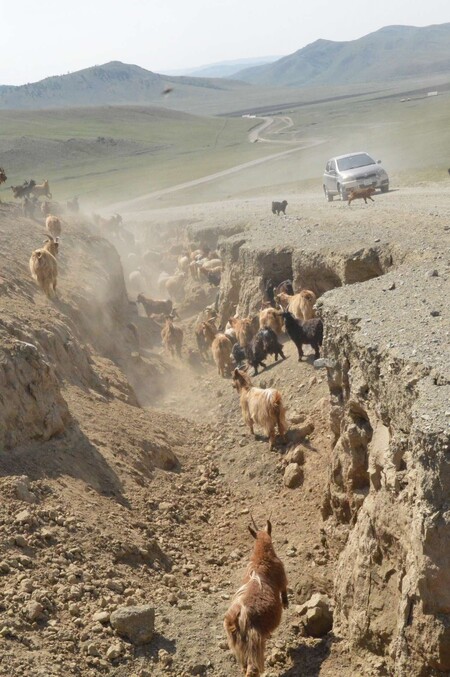 Mongolskou krajinu trápí i masivní eroze.